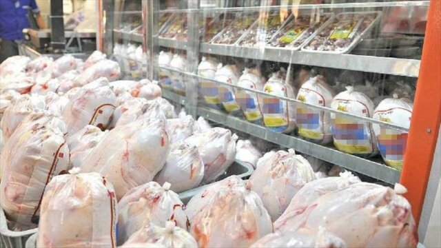 ۲۸۰۰ تن مرغ منجمد ویژه طرح تنظیم بازار توزیع می‌شود