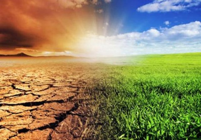 تغییر اقلیم عامل خشکسالی‌ها و ترسالی‌های طولانی در کشور