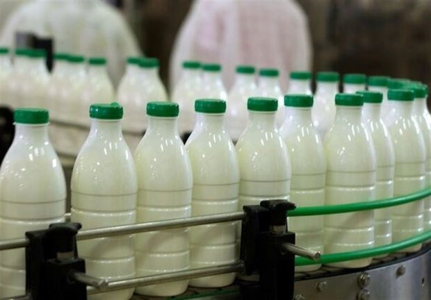 چون نتوانستیم نهاده موردنیاز دامداران را تأمین کنیم شیر گران شد