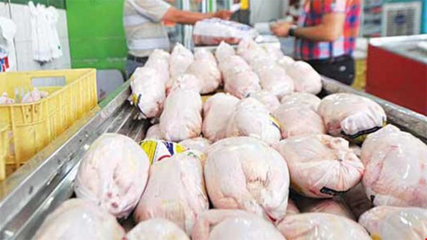 توزیع ۵۰۰ تن مرغ گرم و منجمد در تهران