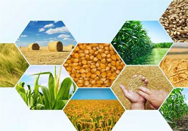 افزایش ۲۶ درصدی صادرات محصولات کشاورزی
