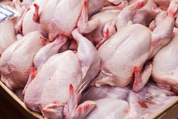 گوشت مرغ از فردا به میزان نیاز وارد بازار می‌شود