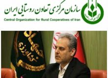 تاکید وزیر جهاد کشاورزی بر لزوم جلوگیری از انحلال سازمان مرکزی تعاون روستایی