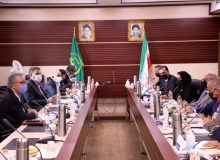 همکاری ایران و اقلیم کردستان عراق برای تبادل دانش فنی دامپروری و صادرات محصولات دامی