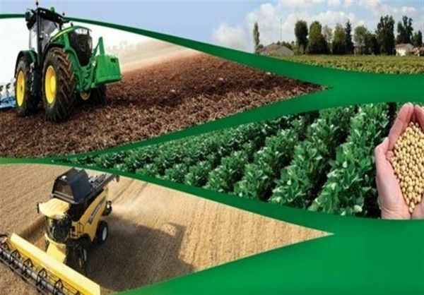 تأمین و توزیع ۷۵ درصدی کودهای کشاورزی توسط سازمان مرکزی تعاون روستایی