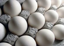 صادرات تخم‌مرغ ممنوع نیست
