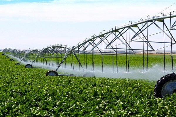 اراضی کشاورزی کشور با ۲۵ درصد کم آبیاری روبروست