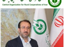 مهندس سیدمحمد موسوی، به‌عنوان رئیس هیأت مدیره و مدیرعامل سازمان مرکزی تعاون روستایی ایران منصوب شد