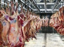 افزایش قیمت گوشت تا ۵۰ درصد