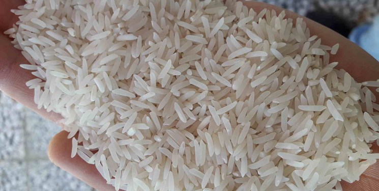 دلایل گرانی برنج ایرانی
