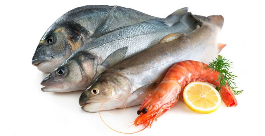 پیش‌بینی ظرفیت پرورش ۳۵۰ هزار تن میگو و ماهی در آب‌های ساحلی شمال و جنوب کشور