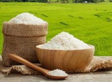 هشدار سازمان حفظ نباتات درباره افزایش آفت شب پره در کشت مجدد برنج