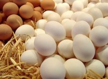 اعلام قیمت مصوب تخم‌مرغ بسته‌بندی