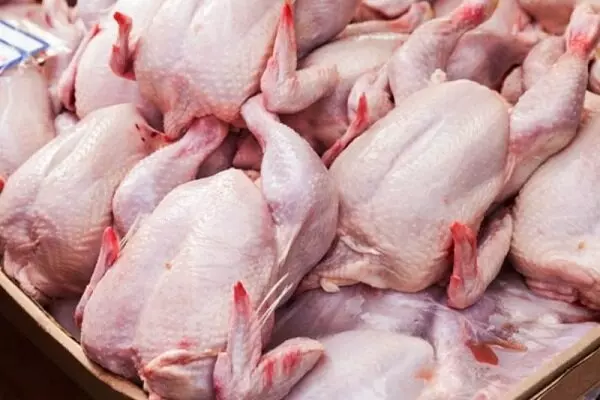 قیمت مرغ در بازار ۴ هزار تومان زیر قیمت مصوب