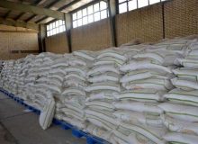 توزیع ۱۰۰ هزارتن برنج وارداتی برای کنترل قیمت‌ها و حفظ آرامش بازار