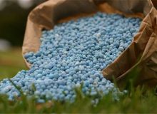 دستور مهم وزیر جهاد کشاورزی درباره کود‌های شیمیایی