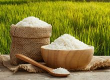 مجاز بودن کشت برنج تنها در استان‌های شمالی کشور