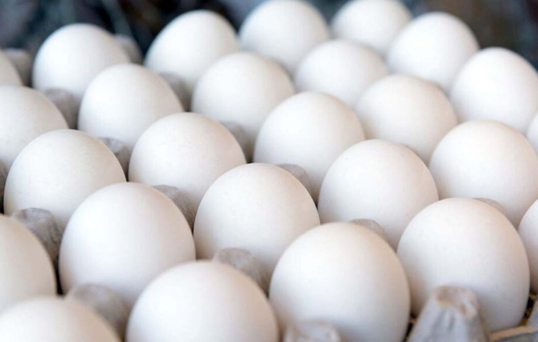 افت شدید تقاضا در بازار تخم‌مرغ