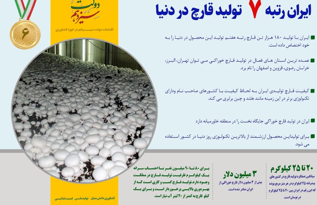 ایران رتبه 7 تولید قارچ در دنیا