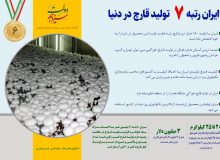 ایران رتبه 7 تولید قارچ در دنیا