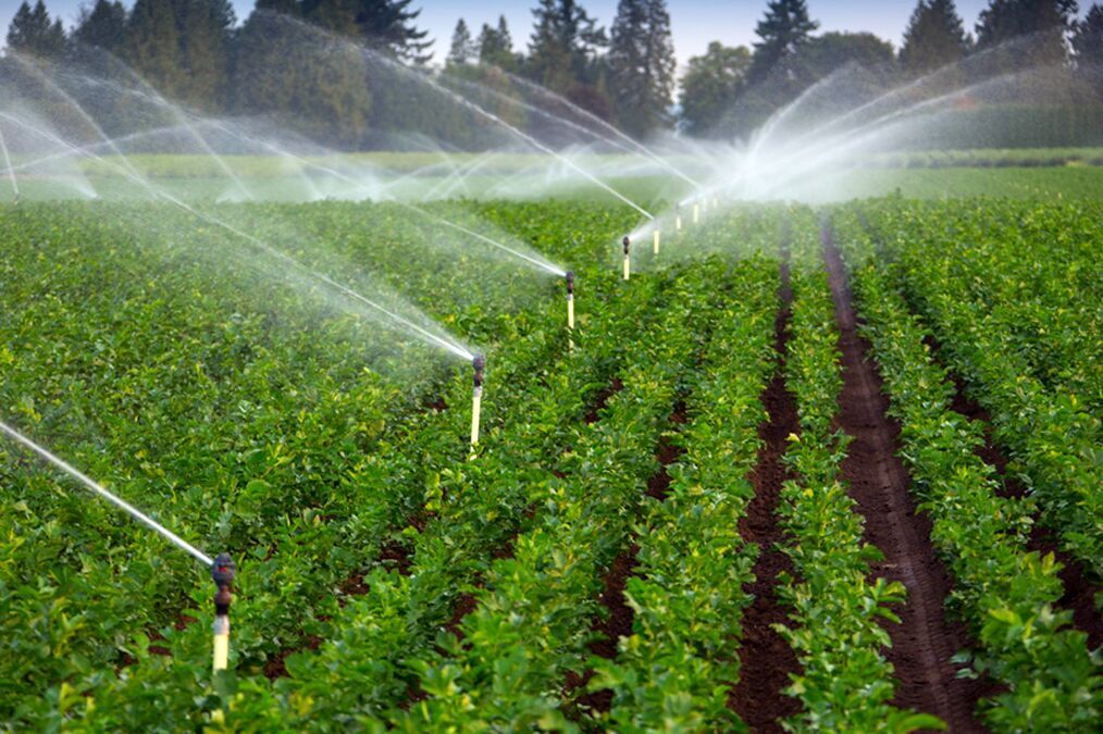 اندازه‌گیری آب آبیاری ۳۵ محصول کشاورزی کشور توسط محققان بخش کشاورزی