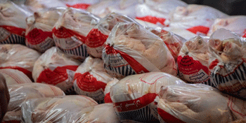 آغاز توزیع روزانه یک‌هزار تن مرغ منجمد با قیمت ۴۵ هزار تومان