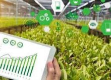 اعلام اولویت‌های بخش کشاورزی ظرف ۳ ماه آینده به شرکت‌های دانش‌بنیان و فناور