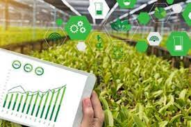 اعلام اولویت‌های بخش کشاورزی ظرف ۳ ماه آینده به شرکت‌های دانش‌بنیان و فناور