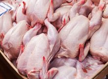 تأکید بر حمایت از تولید گوشت مرغ برای ایجاد صادرات پایدار
