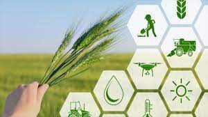 توسعه صندوق‌های سرمایه‌گذاری در بخش کشاورزی از طریق شرکت‌های دانش‌بنیان