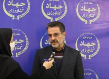 اجرای ۱۹ هزار هکتار کشت قراردادی در استان خوزستان تاکنون