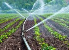 اجرای سامانه‌های نوین آبیاری در ۳۵ هزار هکتار اراضی آبی کشاورزی