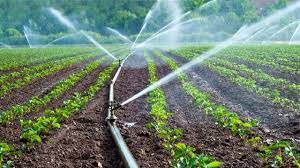 اجرای سامانه‌های نوین آبیاری در ۳۵ هزار هکتار اراضی آبی کشاورزی