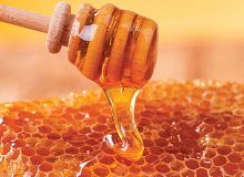 تولید ۱۳۶ هزار تن عسل براساس سرشماری امسال