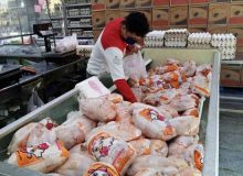واردات 100 میلیون دلاری مرغ منجمد به کشور