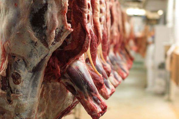 واردات ۲۵۰ هزار تن گوشت؛ تیشه به ریشه دام داخلی