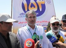 سهم ۱۴ میلیونی سیستان و بلوچستان در «ایران سرسبز؛ ایران قوی»
