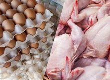 تثبیت قیمت جدید مرغ و تخم‌مرغ تا پایان فروردین سال آینده