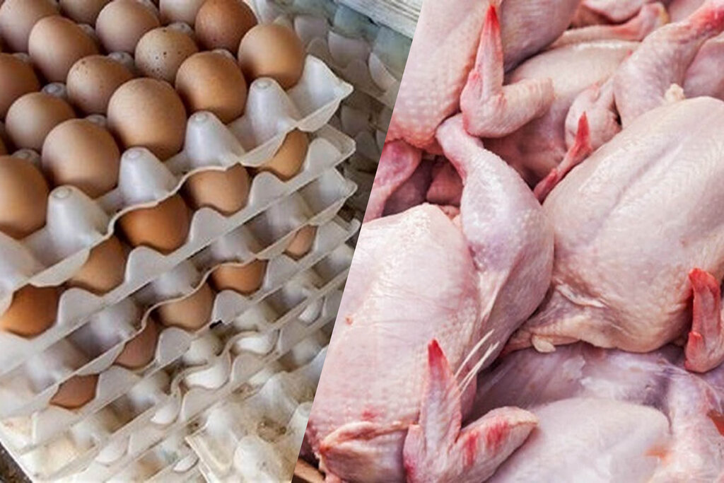 تثبیت قیمت جدید مرغ و تخم‌مرغ تا پایان فروردین سال آینده