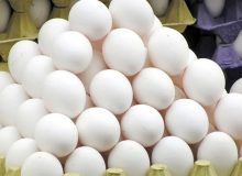 نیاز بازار کشور به ۱.۱ میلیون تن تخم‌مرغ 