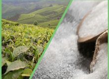 واگذاری امور تعیین سقف ارزی شکر و چای به دفتر خدمات بازرگانی