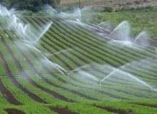 بهره‌برداری از ۱۰۹۵ پروژه آب و خاک بخش کشاورزی در هفته دولت