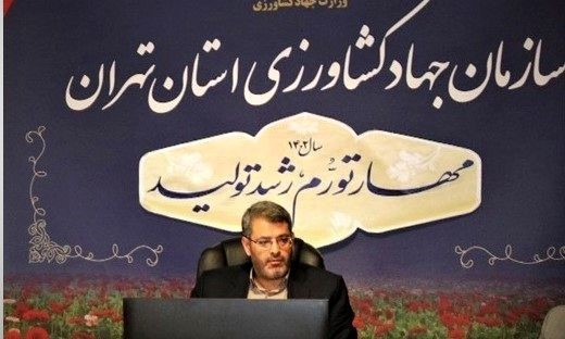 افزایش ضریب استفاده از بذور استاندارد در مزارع استان تهران