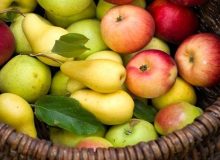 درآمد یک و نیم میلیارد دلاری کشور از صادرات سیب و به و گلابی