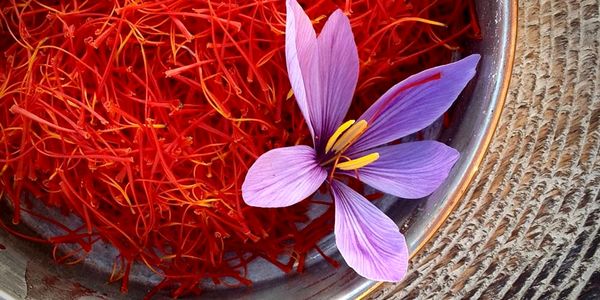 ارز آوری 88 میلیون دلاری صادرات زعفران برای کشور در پنج ماهه نخست سال