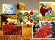 ظرفیت‌سازی‌ جدید منطقه‌ای در حوزه صنایع تبدیلی و غذایی