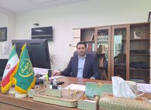 حرکت معاونت امور تولیدات دامی وزارت جهاد کشاورزی در راستای خودکفایی در مرغ لاین