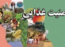 خودکفایی ایران در صنعت غذا  در سال 1411
