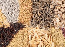 وزارت جهاد کشاورزی، فاقد اختیار مؤثر در امر تنظیم بازار محصولات کشاورزی و پروتئینی