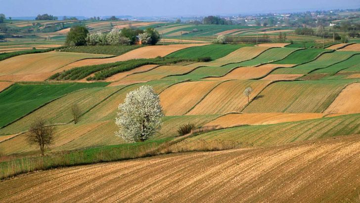 پایش هوشمند خاک و اراضی کشاورزی در ۲۸ استان کشور